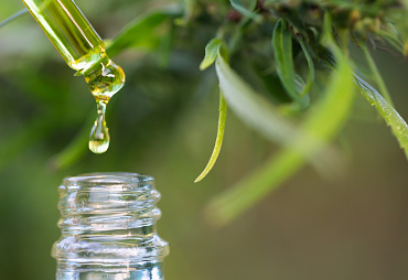 When Is The Best Time To Take CBD Products?