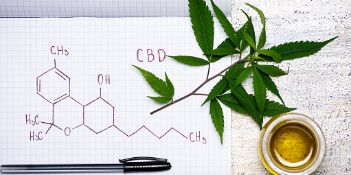 Does CBD and CBG Show Up on a Drug Test? Unveiling Myths!